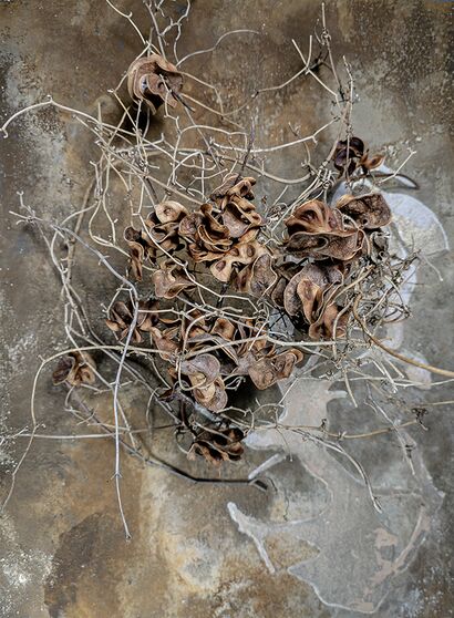 Marea Baja - a Sculpture & Installation Artowrk by YLECARA