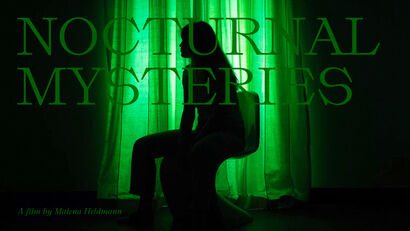 NOCTURNAL MYSTERIES - A Video Art Artwork by Malena Heldmann