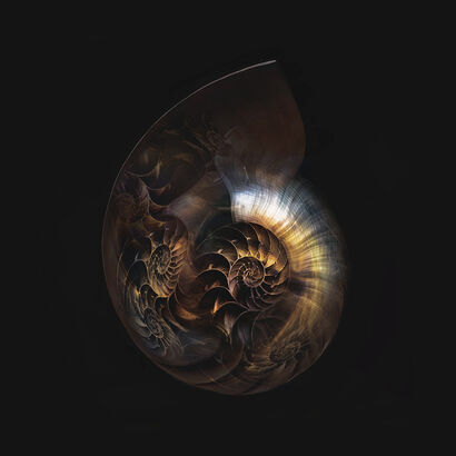Nautilus Universe - Assembly - A Digital Art Artwork by sensegraphia