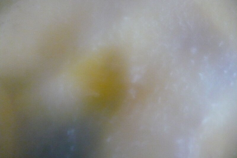 The breath of a vegan - a Photographic Art by Viola Bolyki