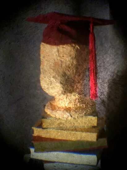 Head Metaphysics. Phase 5. Graduated. - a Photographic Art Artowrk by Leo Bacharach