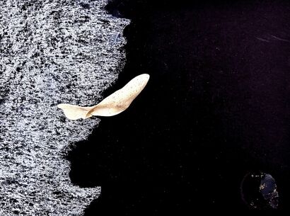 A fishbone between my wishbone - a Photographic Art Artowrk by Suzanne Fischer