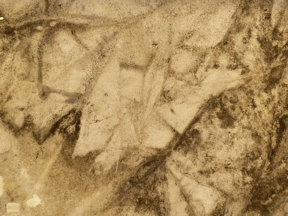 Hudorographie 1: RIOU #008 - a Photographic Art Artowrk by Camors Salomé-Charlotte