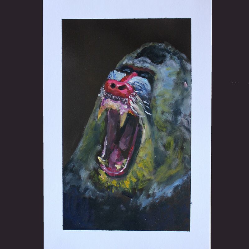 Mandrill - a Paintings by Raphael Sicsic
