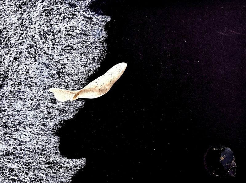 A fishbone between my wishbone - a Photographic Art by Suzanne Fischer