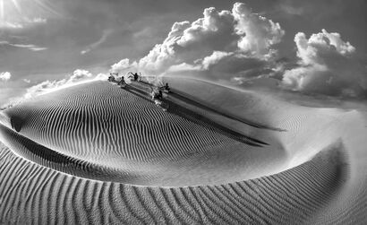 Sand dunes after the rain - A Photographic Art Artwork by Phạm Văn Thành Phạm Văn Thành