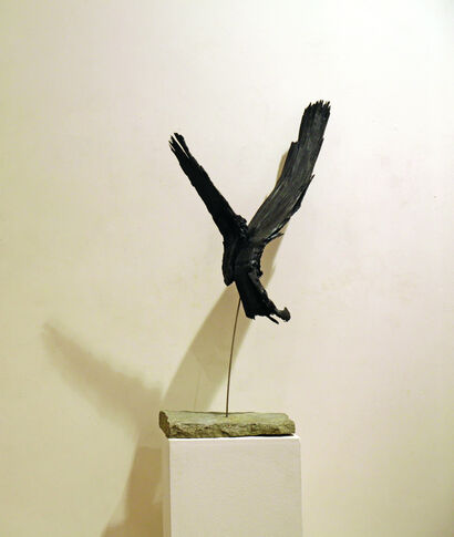 CONTEMPLO - A Sculpture & Installation Artwork by Paolo Ceola