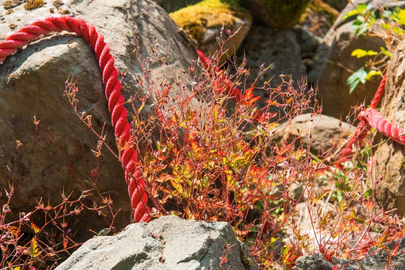 Quintessenza - a Land Art by ECO