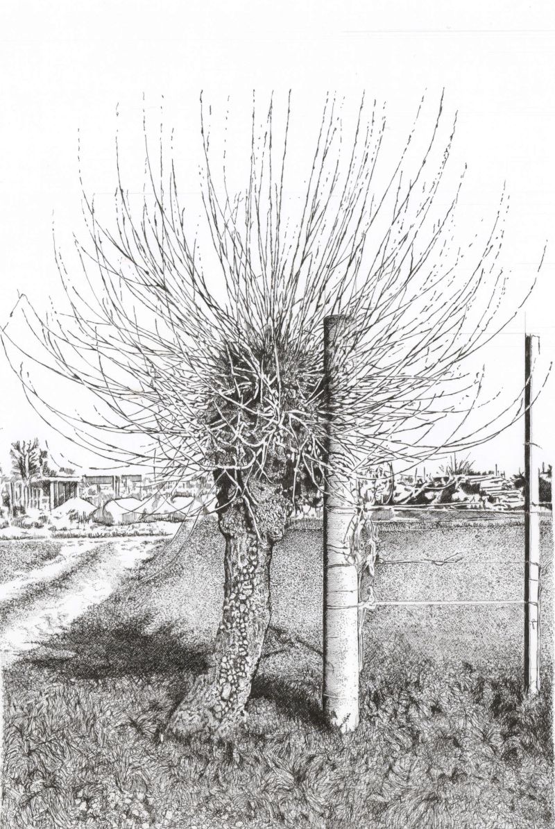 Gelso/morèr - a Paintings by ALESSANDRO FACCHIN