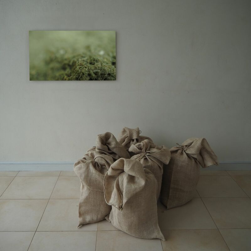Meadow Flour - a Sculpture & Installation by a.z.