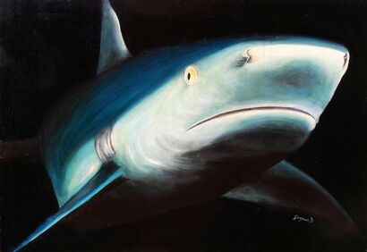 Shark - A Paint Artwork by DANIELA GARGANO
