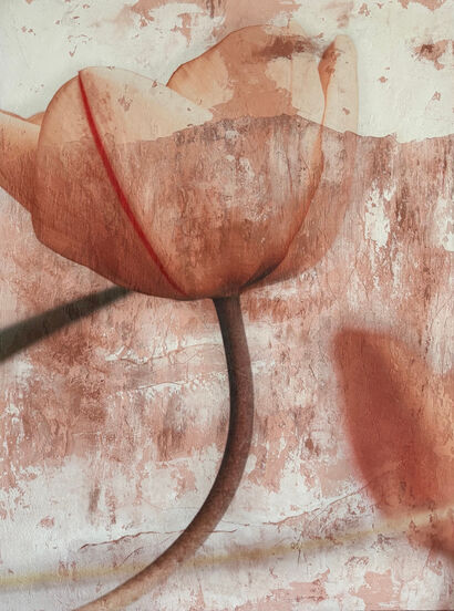 Orange Flower - a Paint Artowrk by Pier Pramori