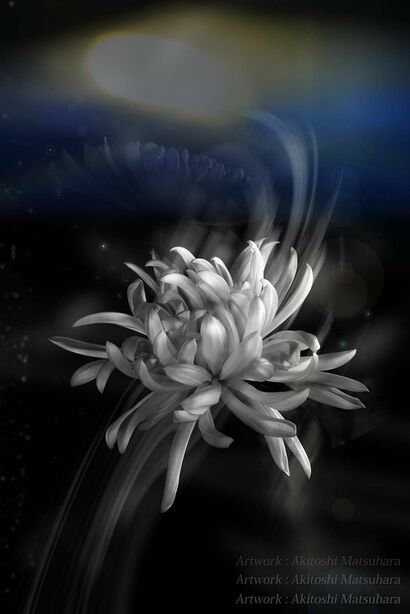 Life and death Reincarnation - a Photographic Art Artowrk by Akitoshi Matsuhara