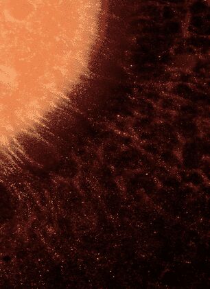 GRASP - a Video Art Artowrk by Hamill Industries