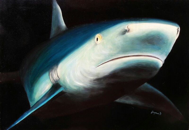Shark - a Paint by DANIELA GARGANO