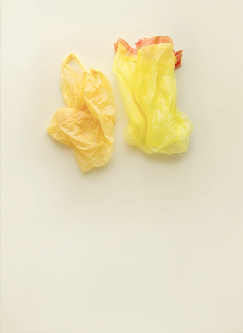Tulpen III - a Photographic Art by Susanne Esche
