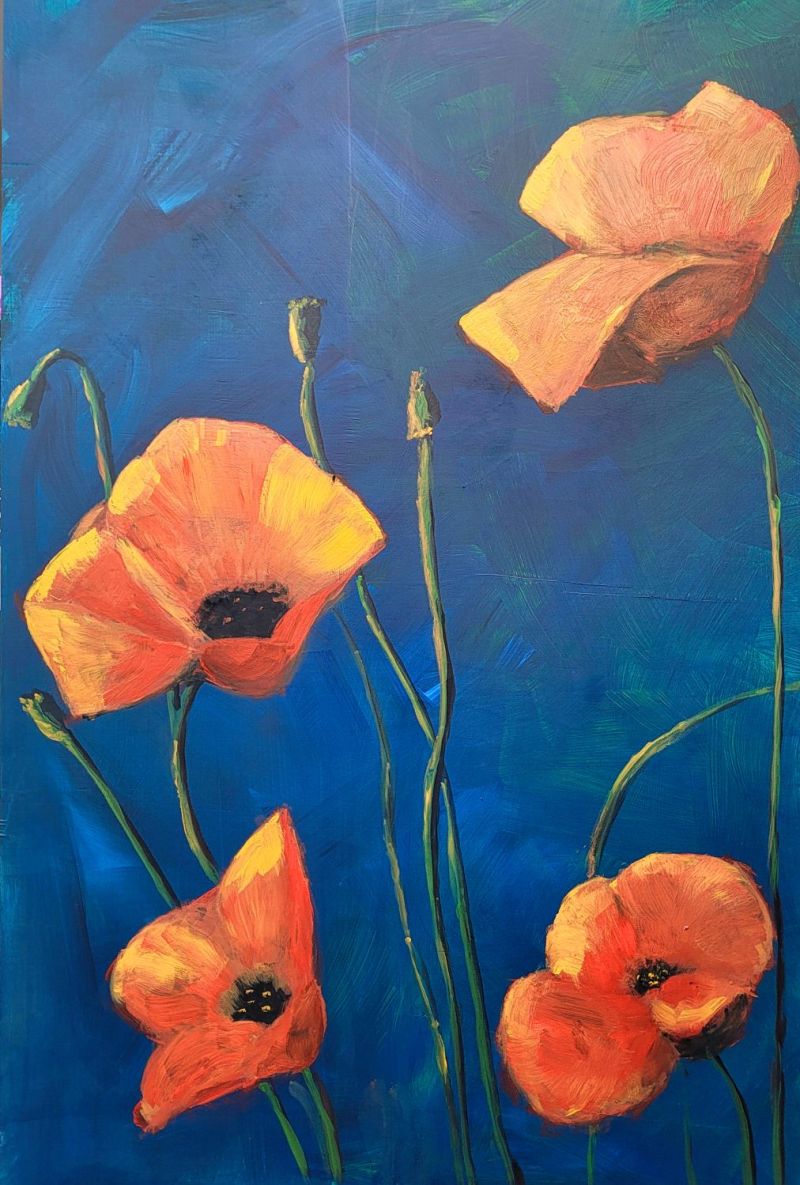 Poppies - a Paintings by Angelo Calcagno