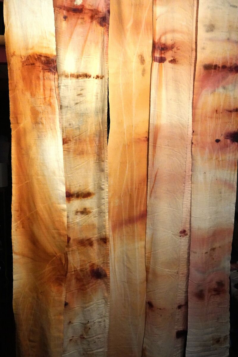 Ancestral Echoes – A message for you - a Sculpture & Installation by Gioia Aloisi