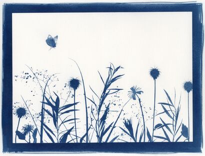Naturalia Tavola IV - a Photographic Art Artowrk by Alice Serafino