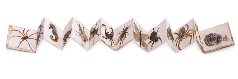 FROM THE SERIES OF MEMORY BOOKS,  OF THE IMPERCEPTIBLE - a Sculpture & Installation by PATRICIA HENRIQUEZ