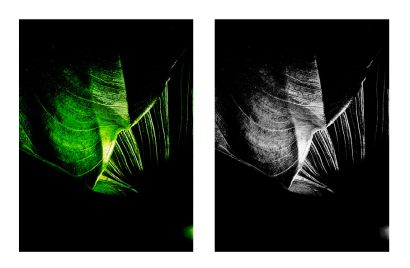 OXYGEN - Incastri - Dittico - A Photographic Art Artwork by Sara Franci Visual Artist