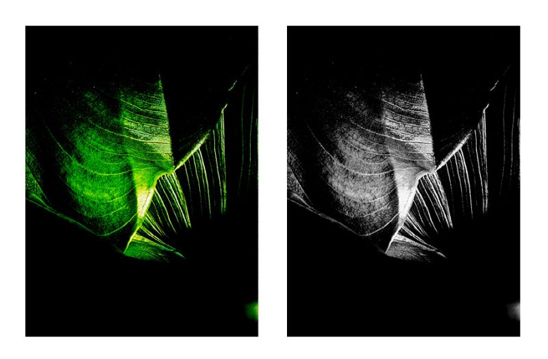 OXYGEN - Incastri - Dittico - a Photographic Art by Sara Franci Visual Artist