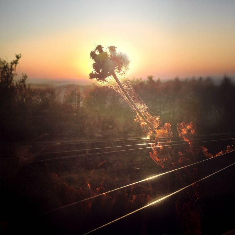 TELL ANOTHER STORY #4 - a Photographic Art by Michela Pascucci