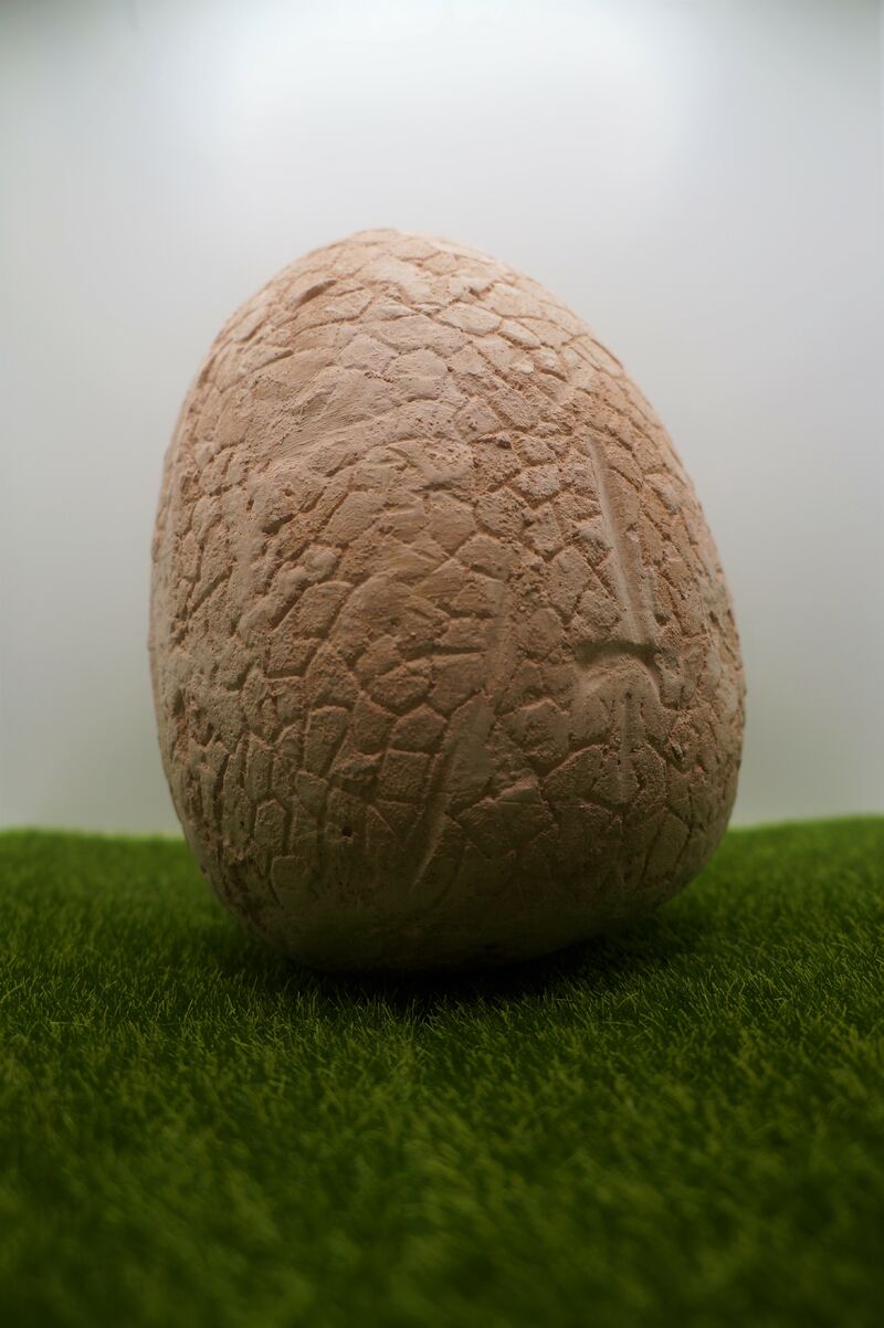 dinosaur egg - a Sculpture & Installation by Giulia De Martino