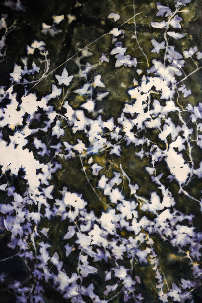 Invasive Species Of The Hudson Valley No.15. English Ivy. - A Photographic Art Artwork by Sam Scoggins