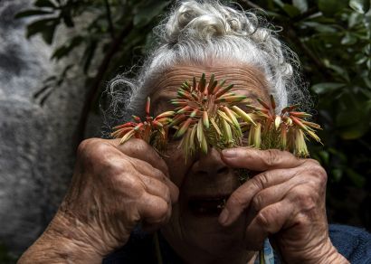 Il tempo di un fiore - a Photographic Art Artwork by PAOLA SOGLIANI