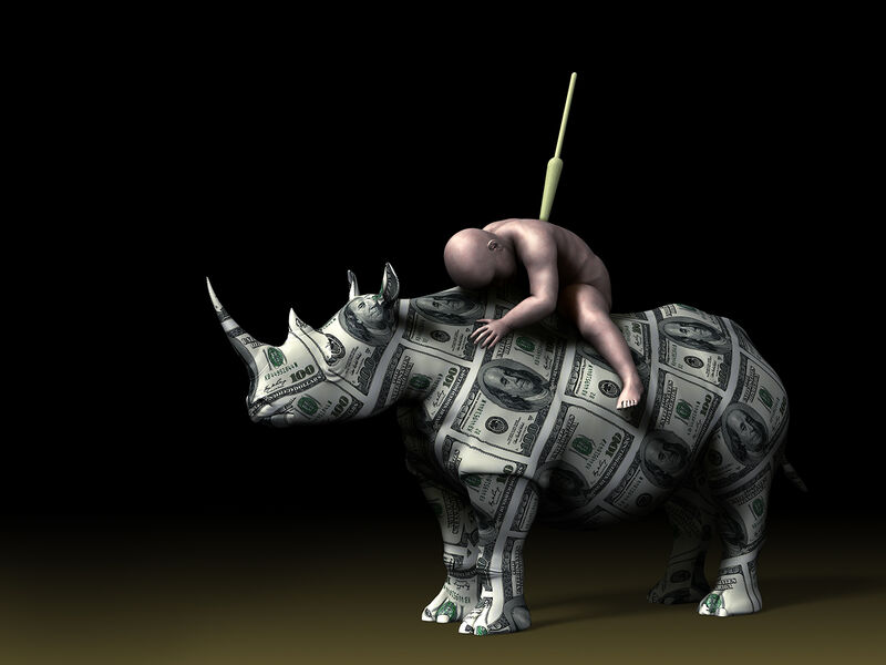 Bambino su rhino. - a Digital Graphics and Cartoon by Salvatore Lucisano