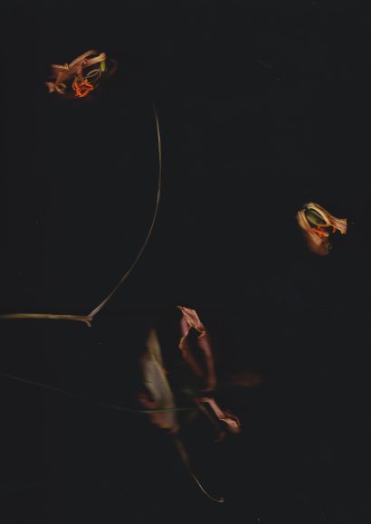 Blumenfragmente 1 - A Photographic Art Artwork by Gerd Gerhardt