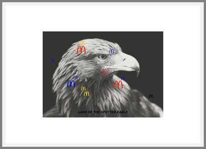 Land Of The Spotten Eagle (d\'après Lothar Baumgarten) - a Digital Graphics and Cartoon Artowrk by Roberto Ago
