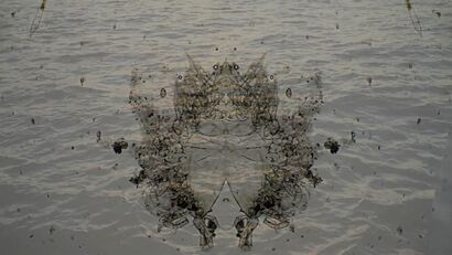 Drop in the Ocean ~ Plankton - a Video Art Artowrk by Tal Eshed Art