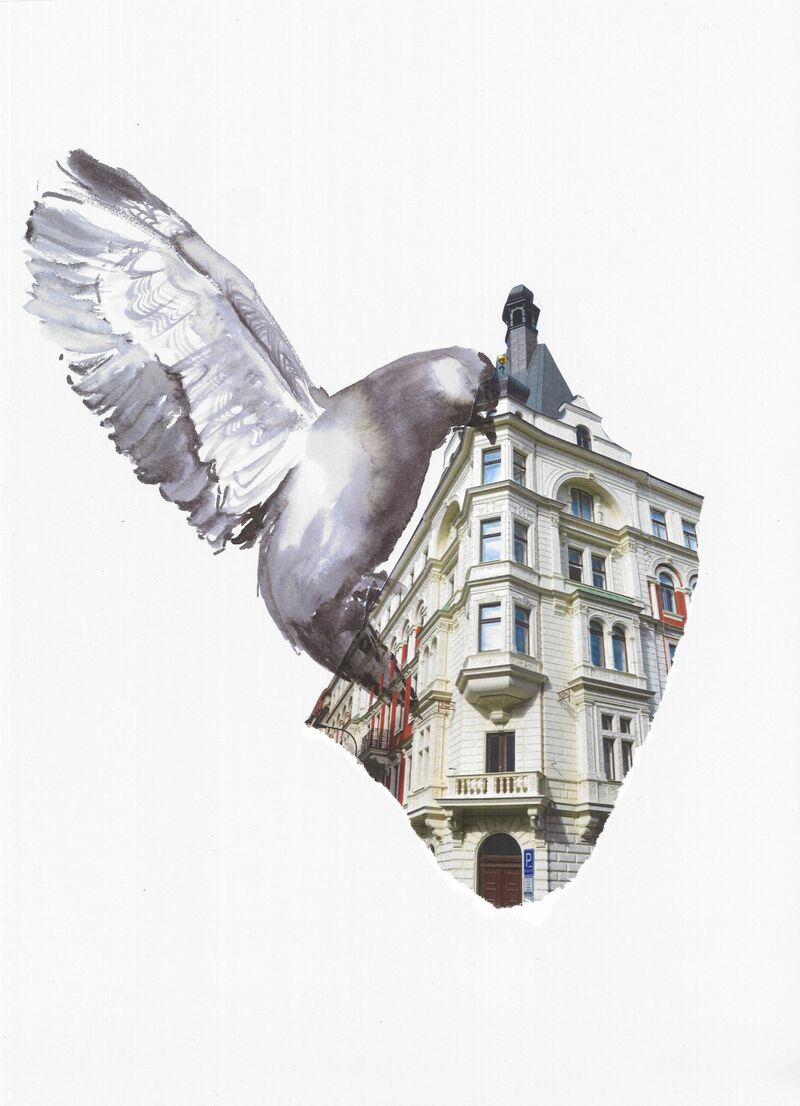 Urban Bird - a Paint by Soraya Poulin