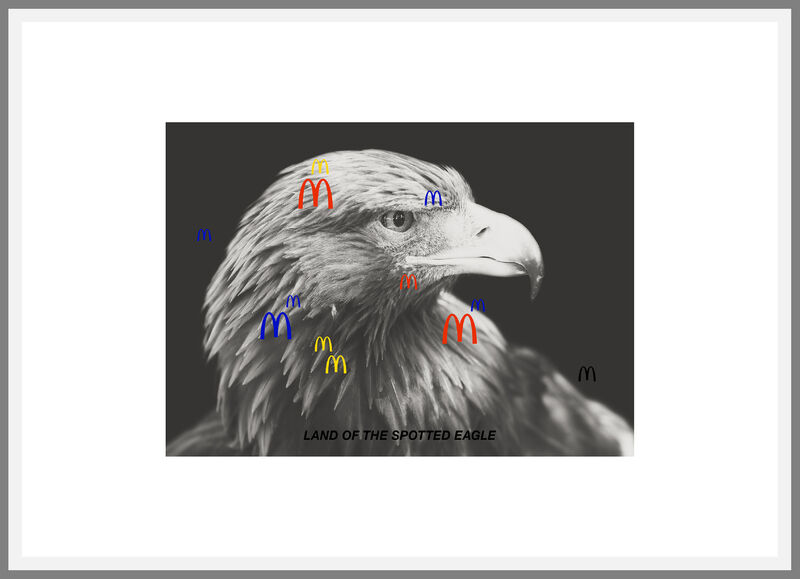 Land Of The Spotten Eagle (d'après Lothar Baumgarten) - a Digital Graphics and Cartoon by Roberto Ago