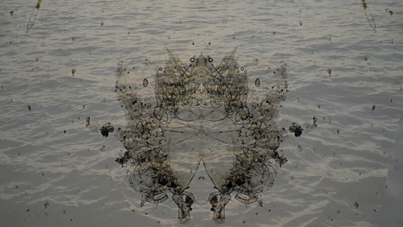 Drop in the Ocean ~ Plankton - a Video Art by Tal Eshed Art