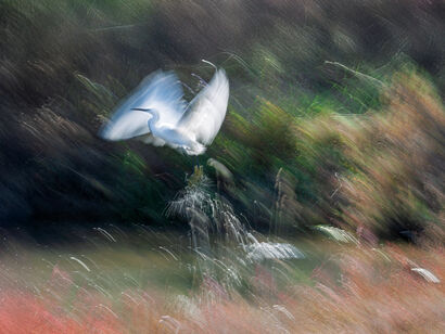 Splashes of Light - a Photographic Art Artowrk by Gianluca Barbi