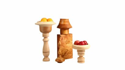 Wood for Resistance  - a Sculpture & Installation Artowrk by Plazuli 