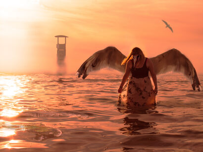 Bird woman - the sunset - a Digital Art Artowrk by ecciu