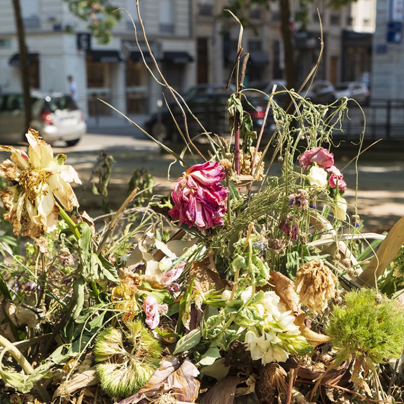 LIEU COMMUN - a Photographic Art by Eve KOEPPEL