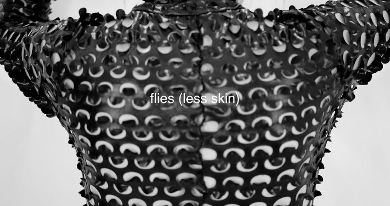 flies (less skin) - a Video Art by Gelidelune 