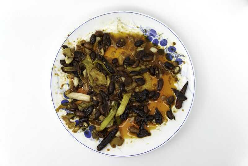 leftover-kung pao chicken - a Photographic Art by Fei Taishi