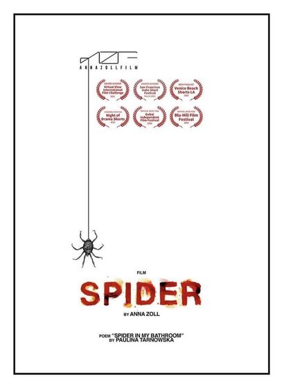 SPIDER - a Video Art Artowrk by Anna Zoll