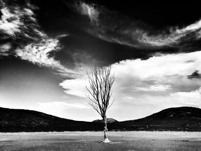 SOUTH AFRICA // SERIES II / NEVER GIVE UP - a Photographic Art Artowrk by Johannes Maria Erlemann