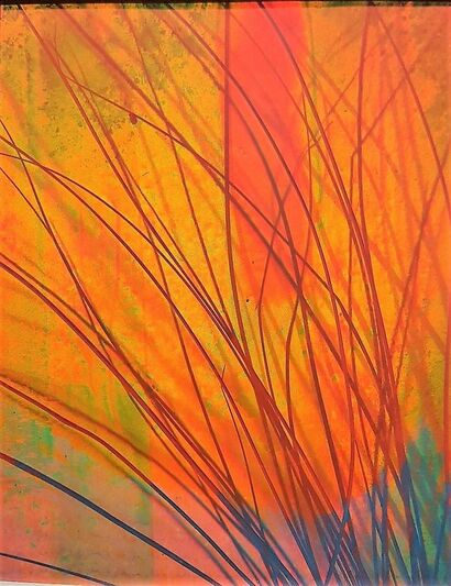 Interference Colors and Structures: Seagrass in 3D - a Photographic Art Artowrk by Juergen Eichler