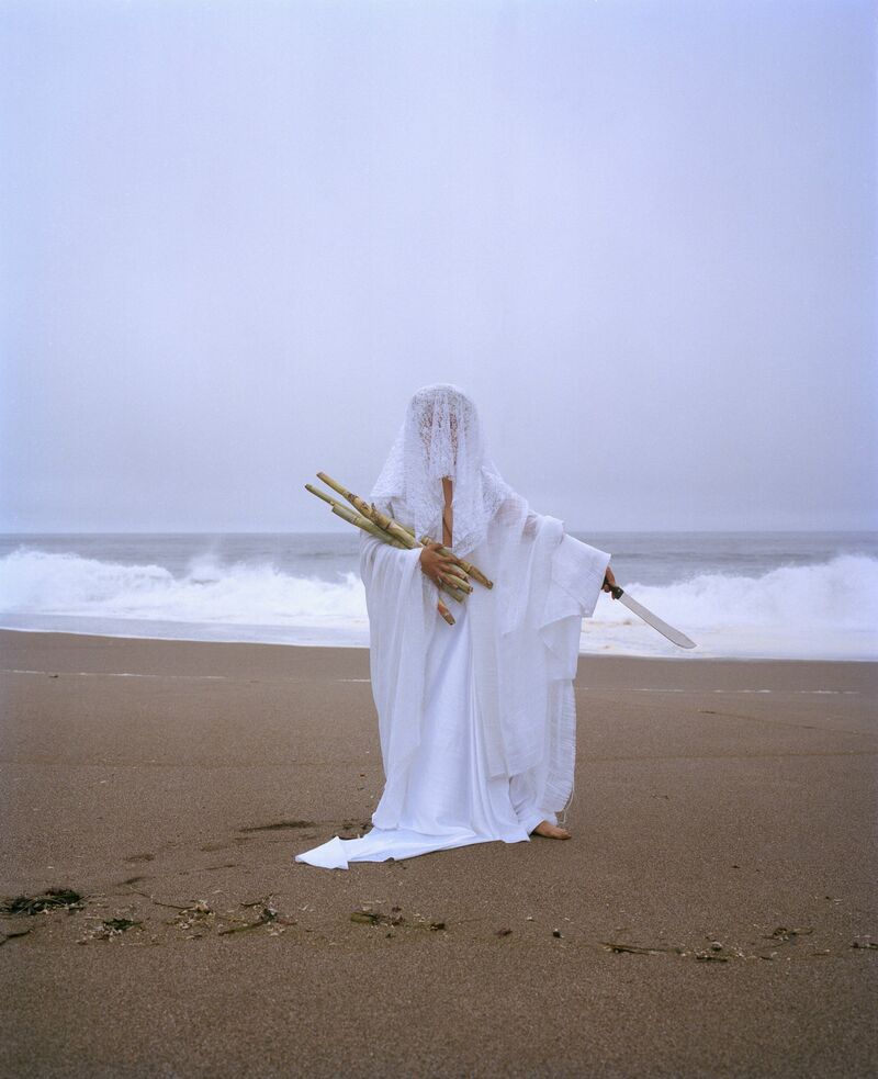 Sugarcane/Machete/Mother/Father - a Photographic Art by Alexander Newman