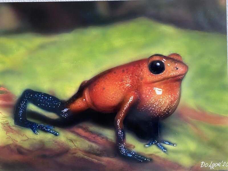 Strawberry Poison-Dart Frog - a Paint by Dolgor.Art 
