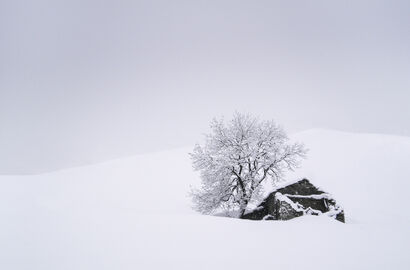In the snow - a Photographic Art Artowrk by Giorgio Toniolo
