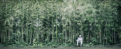 Beyond him (Bamboo forest, Villa Vitali of Fermo) - A Photographic Art Artwork by monia marchionni